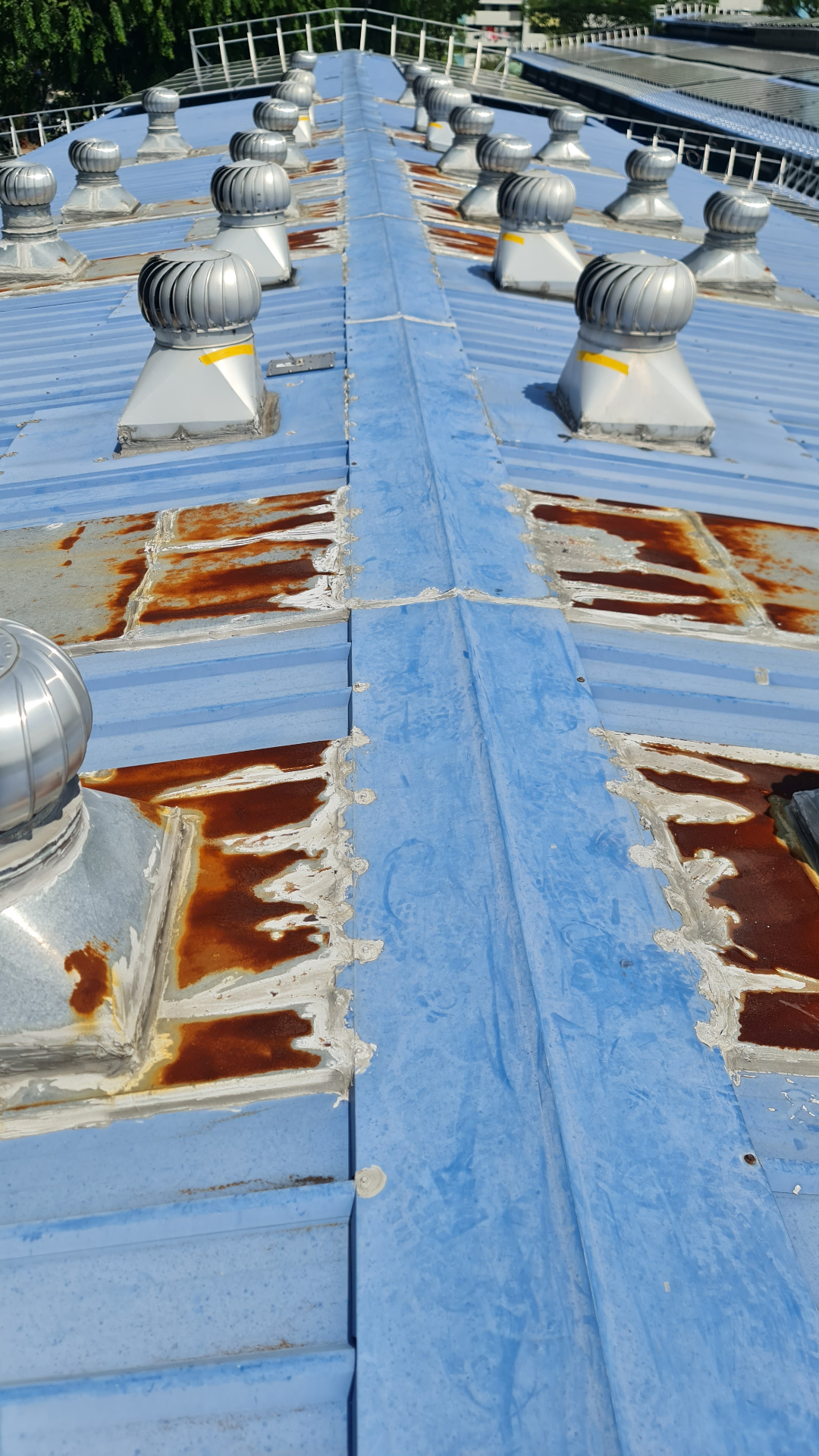 Metal Roof Repair & Coating